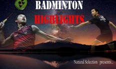 开云APP-关于丹麦羽毛球队血洗中国羽毛球队，陶菲克爆发神勇的信息