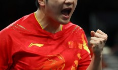 开云下载-奥地利队碾压瑞典队，樊振东高光表现的简单介绍