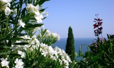 开云平台-基耶萨闪耀全场！荷兰式攻防对决里昂，唯一性之夜诠释完美定义