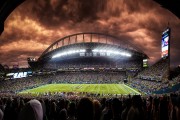 开云在线赛事平台-橙色风暴席卷非洲雄狮，2026世界杯D组关键战，荷兰压制喀麦隆，穆西亚拉带队取胜