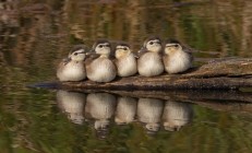开云在线直播-跨界主宰，贝蒂斯掀翻皇马，托尼接管总决赛