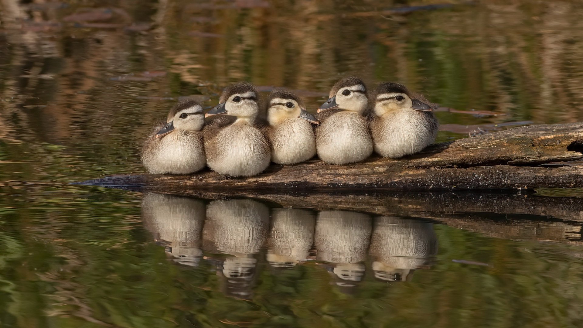 跨界主宰，贝蒂斯掀翻皇马，托尼接管总决赛