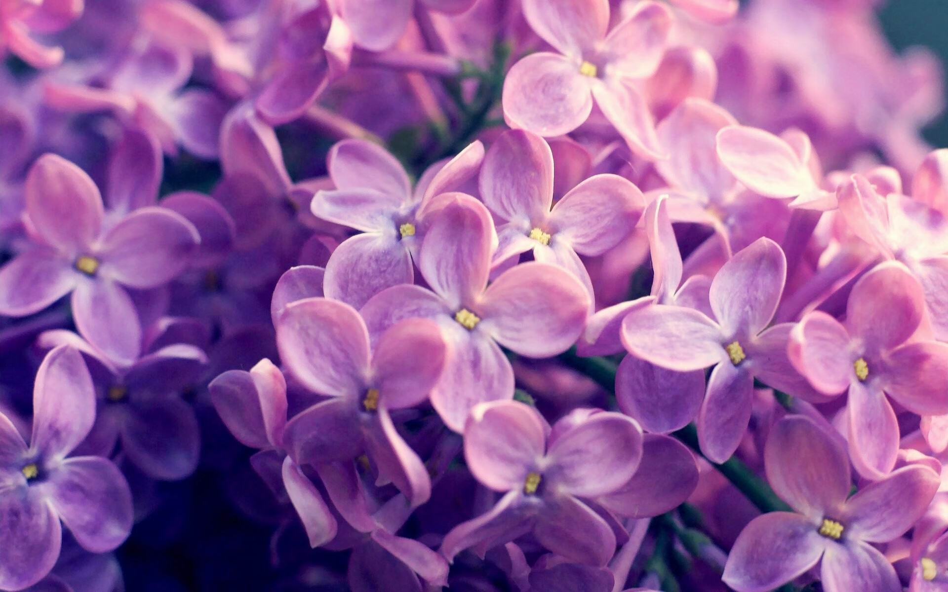爵士狂胜太阳，一场西决生死战的战术革命与精神涅槃